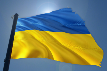 Ukrainian Flag 